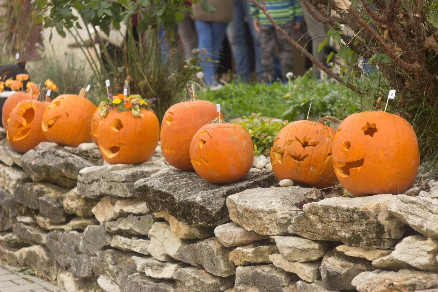 Tökfesztivál 2018. Képek: Babai Lalinda