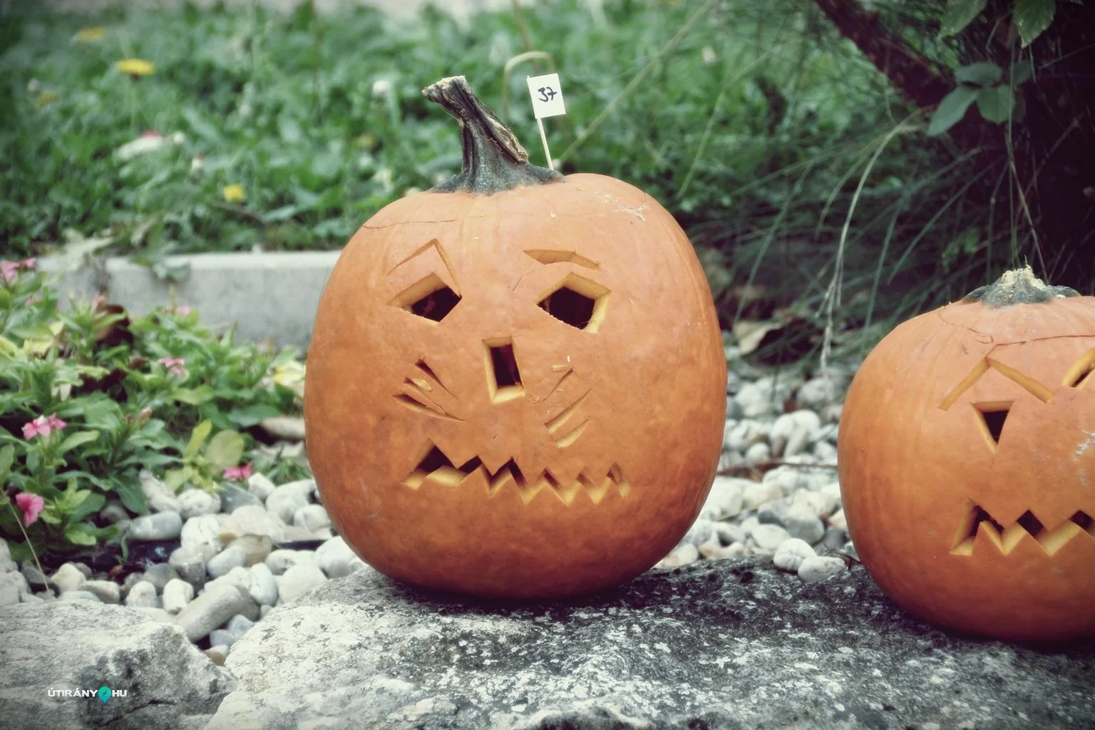 Tökfesztivál 2018. Fotók: Útirány.hu