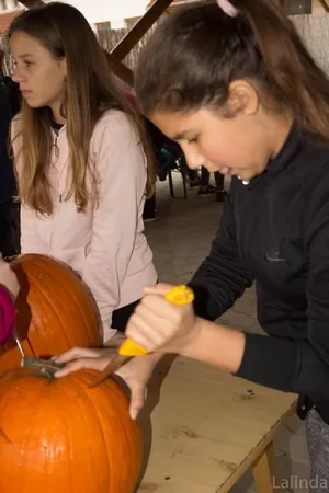 Fotók 1 album: Babai Lalinda