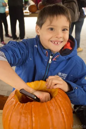 Fotók 1 album: Babai Lalinda